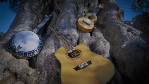 Natural instruments around the olive tree Stock Footage 143185351