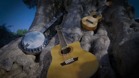 Natural instruments under an olive tree Stock Footage 143185860