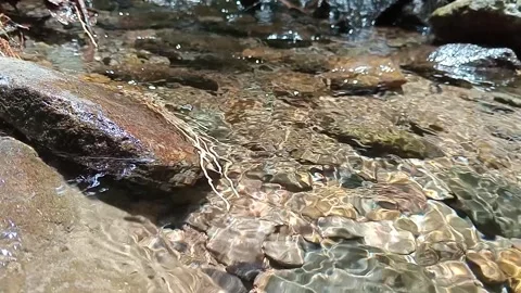 Natural Jungle River Flowing Between Stones Stock Footage 329770784