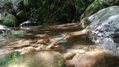 Natural Jungle Stream Flowing Over River Stones Stock Footage 329766308