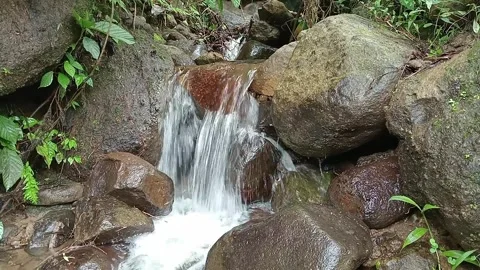 Natural Jungle Stream Waterfall Flowing Over Rocks in Green Tropical Forest Stock Footage 329779295