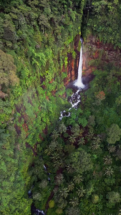 Natural Jungle Waterfall Cascading Down Limestone Cliffs Captured from a Stock Footage 330888845