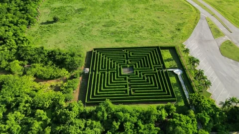 Natural labyrinth 04 Vídeos de archivo 320244207