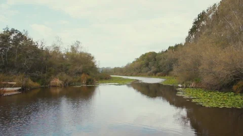 NATURAL LAKE AND FOREST, CLOUDS AND BLUE SKY, TIMELAPSE Stock Footage 110776013