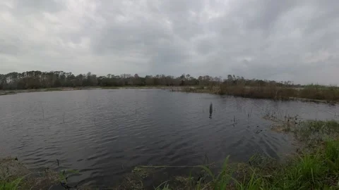 Natural Lake Stock Footage 297167958