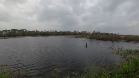 Natural Lake Stock Footage 297167960