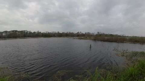 Natural Lake Vidéo 297167974