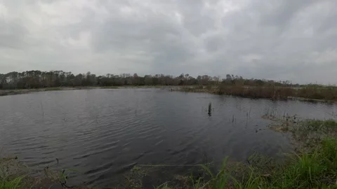 Natural Lake Stock Footage 297167978