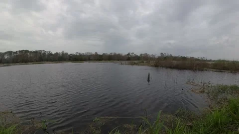 Natural Lake Stock Footage 297167979