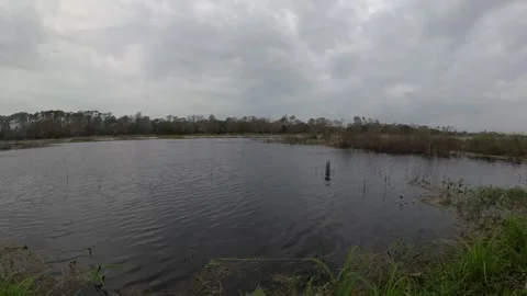 Natural Lake Vidéo 297167987