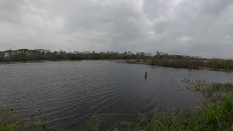 Natural Lake Stock Footage 297167988
