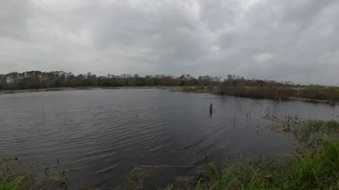 Natural Lake Vidéo 297167996