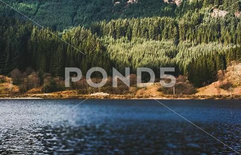 Natural Lake Stock Photos