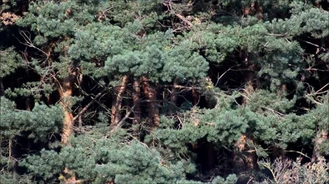 Natural Landscape 2015 Stock Footage 53889179