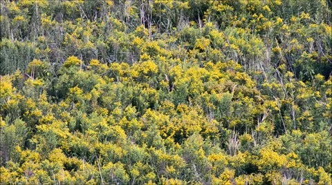 Natural Landscape 2015 Stock Footage 53889241