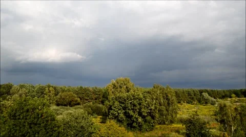 Natural Landscape 2015 Stock Footage 53975934
