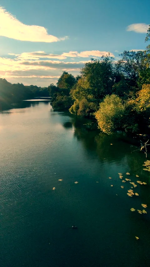 Natural landscape Blue river trees banks sky white clouds shining setting sun Stock Footage 296382437