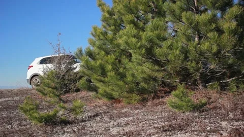 Natural Landscape with Car Stock Footage 147244458