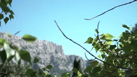 Natural landscape close up Stock Footage 128251826