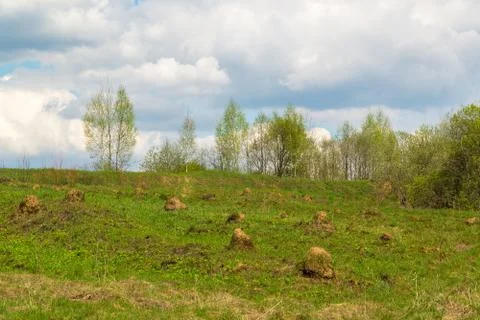 Natural landscape in early spring Stock Photos