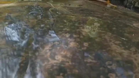 The natural landscape features a clear river flowing calmly between large rocks. Video stock 332977797