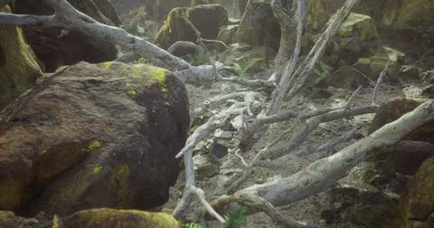 Natural landscape featuring fallen trees and rocky terrain in a forest settin Stock Illustration