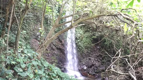 Natural landscape featuring a single vertical waterfall hidden deep 库存影片 344093757