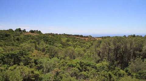 Natural landscape Stock Footage 31215712