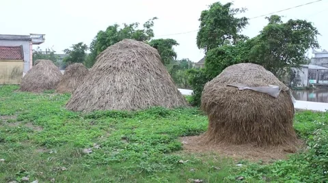 Natural landscape, Stock Footage 47456115