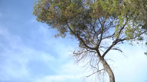 Natural landscape Stock Footage 127870489