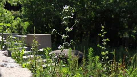 Natural landscape. Stock Footage 131402562