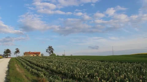 Natural Landscape Stock Footage 153201300