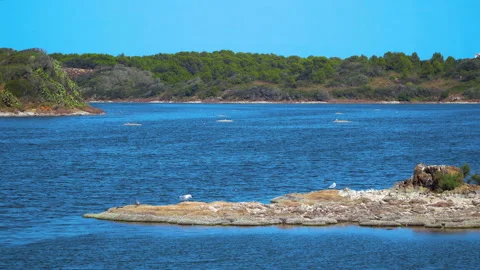 Natural landscape Stock Footage 170051560