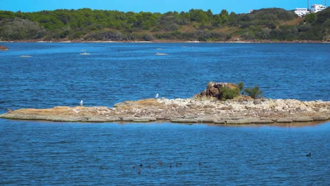 Natural landscape Stock Footage 170051814