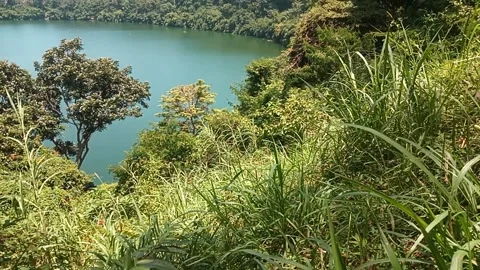 Natural Landscape. Stock Footage 235508942