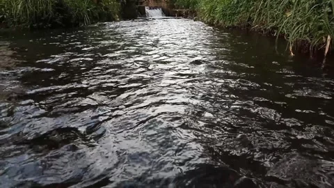 Natural landscape Stock Footage 235761515