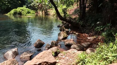 Natural landscape Stock Footage 236545189