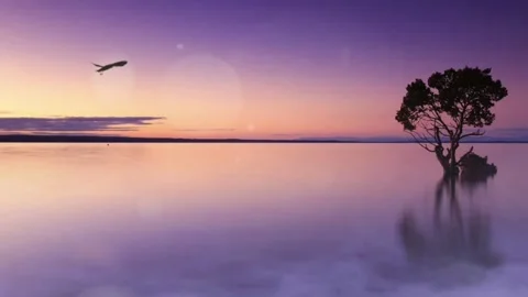 Natural landscape Stock Footage 279862483