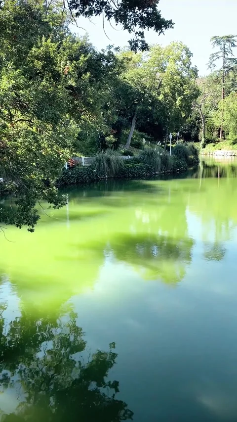 A natural landscape Stock Footage 281736895