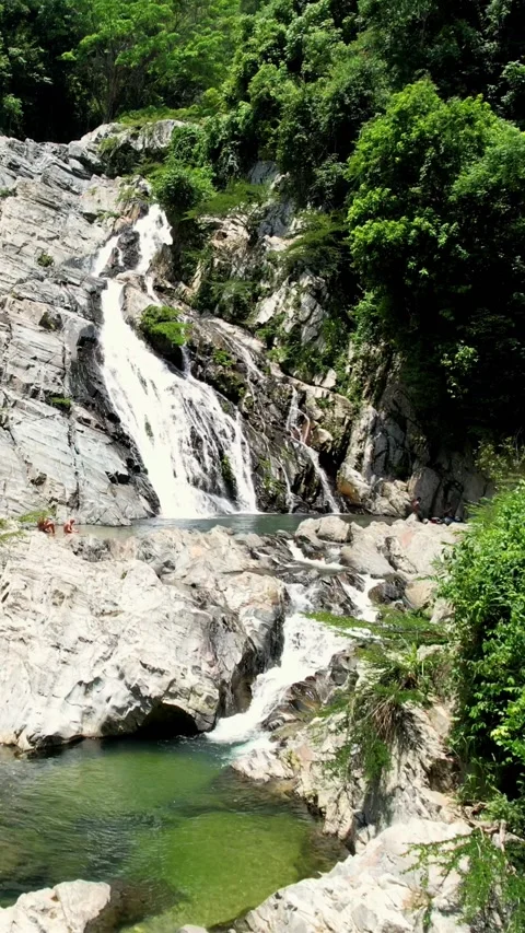 Natural landscape of the forest river Stock Footage 233258140