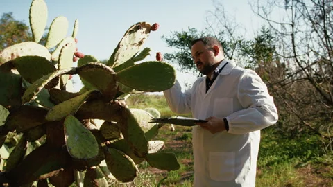 Natural Landscape For A Herborist At Work Stock Footage 310684554