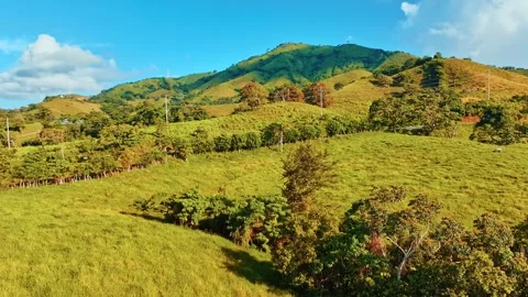 Natural landscape of hilly mountain range surface in morning light. Video stock 274582525