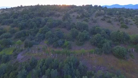 Natural landscape opens across meadow and hills - Golden Light and Sunset Trees Stock Footage 339813133