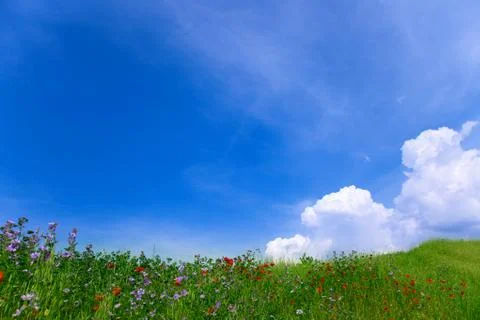 Natural landscape. Stock Photos