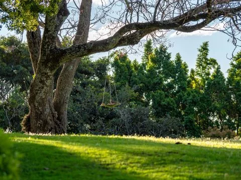 Natural landscape  Stock Photos
