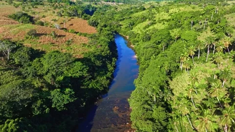 Natural landscape of a river stream. A stream in the forest. Stock Footage 327770628