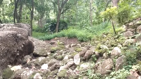 Natural landscape with rocks 動画素材 329242299