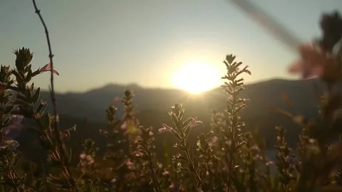 Natural landscape with sunset Stock Footage 244526179