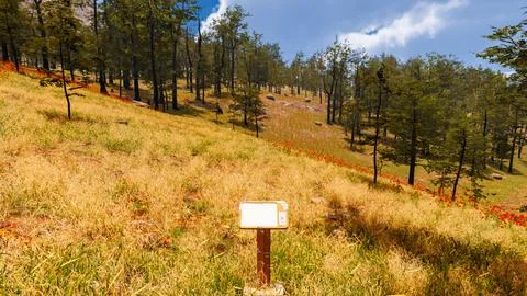 Natural landscape with technological elements of the future 3d render Illustrazione stock