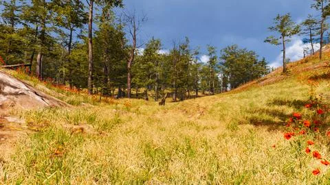 Natural landscape with technological elements of the future 3d render Stock Illustration